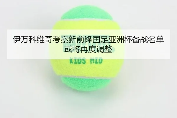 伊万科维奇考察新前锋国足亚洲杯备战名单或将再度调整
